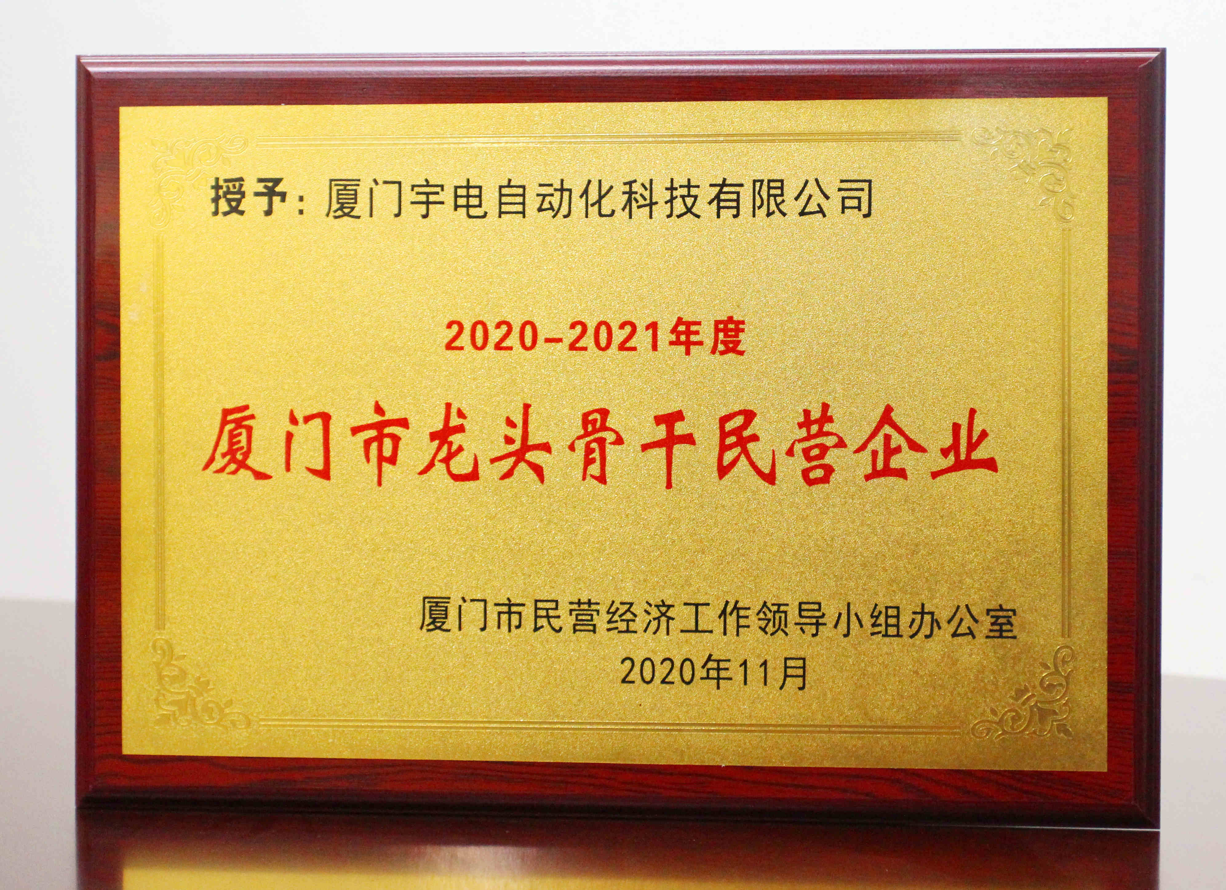 2020-2021年度龍頭骨干民營(yíng)企業(yè)_XIAO副本.jpg